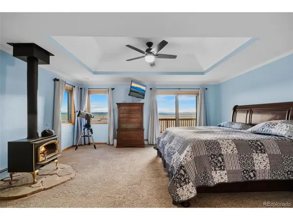 4109 County Road 5, Fairplay, CO 80440