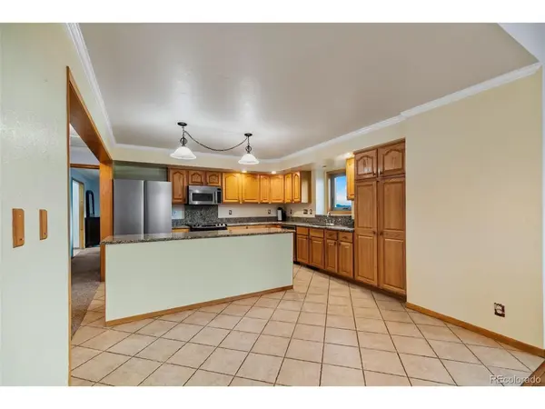 4109 County Road 5, Fairplay, CO 80440