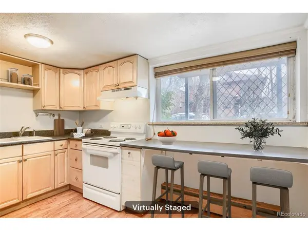 1063 N Clarkson #1, Denver, CO 80218