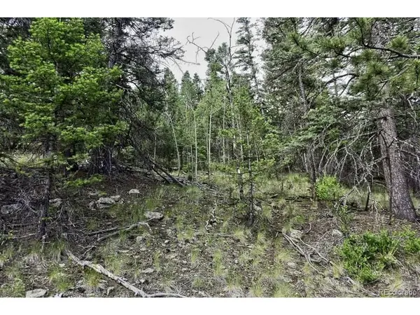 2871 Marcey, Westcliffe, CO 81252