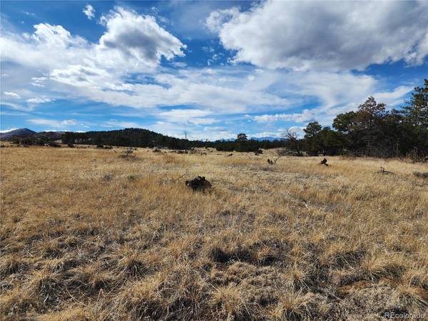 Pinon, Cotopaxi, CO 81223