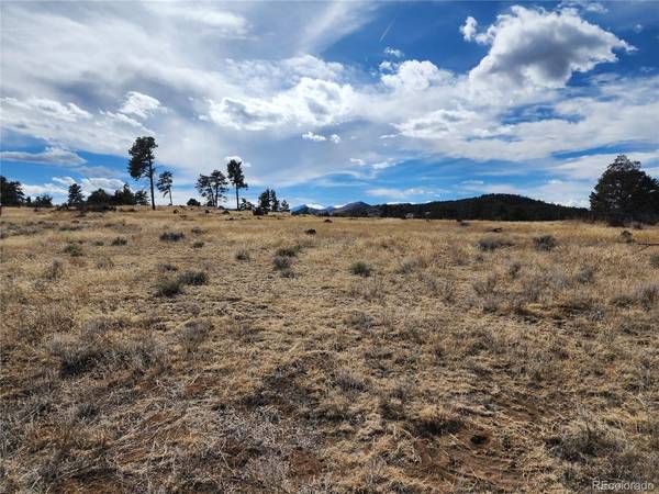 Pinon, Cotopaxi, CO 81223