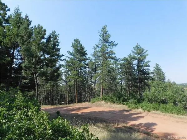 8122 Acoma, Larkspur, CO 80118