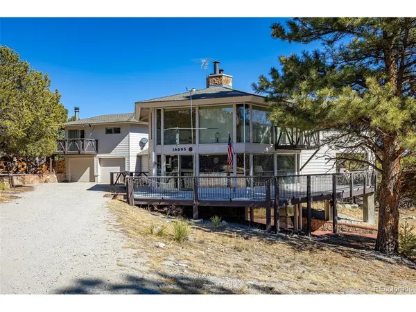 16695 County Road 162, Nathrop, CO 81236