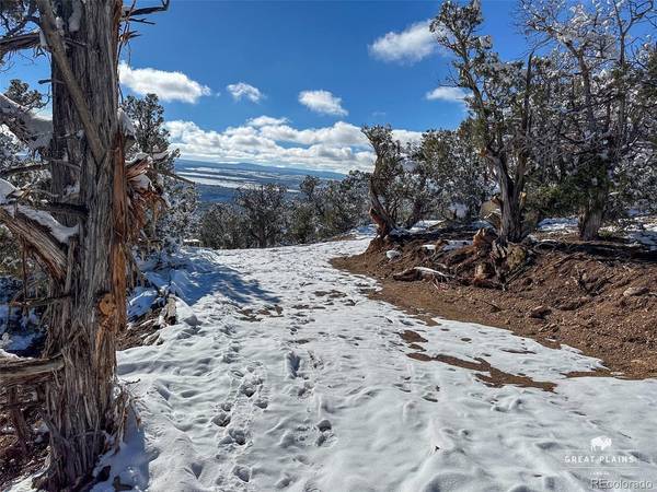 Greenwood, Crawford, CO 81415