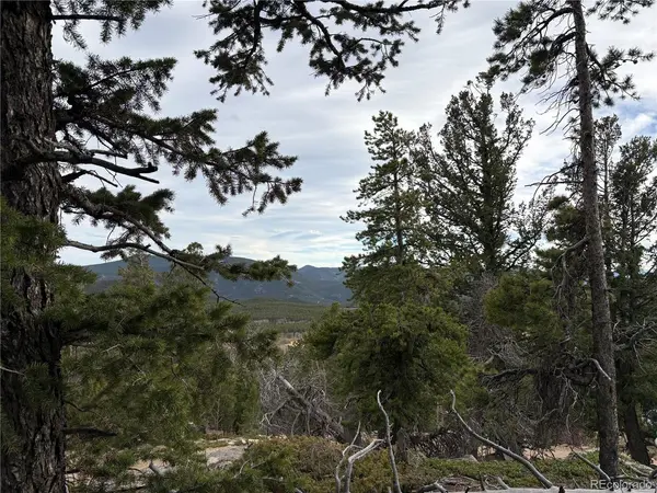 34251 Skyline, Golden, CO 80403