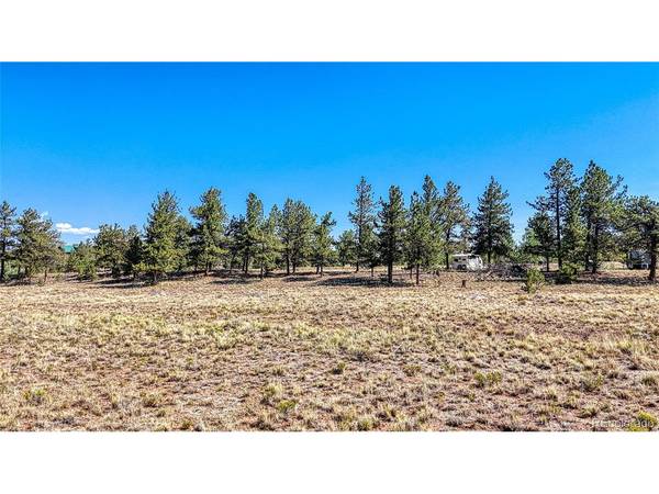 2538 Windmill, Hartsel, CO 80449