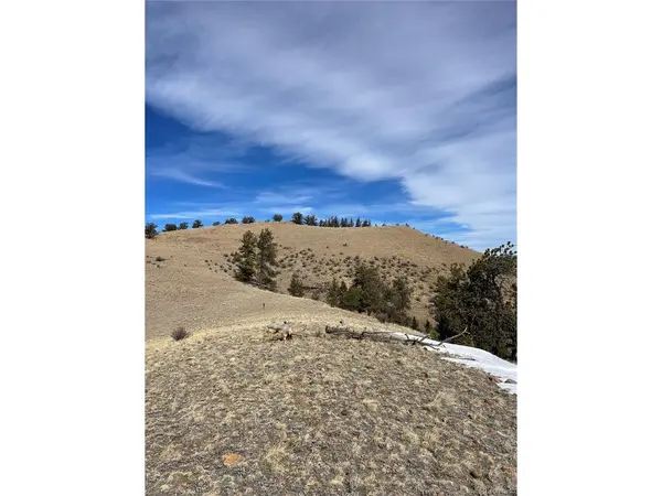 Antelope, Hartsel, CO 80449