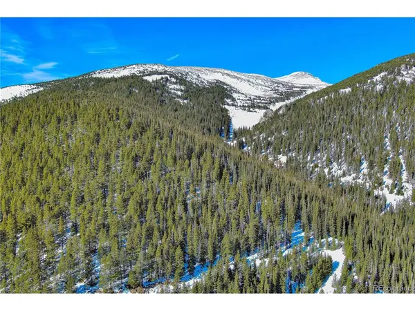 Nebraska Circle, Idaho Springs, CO 80452