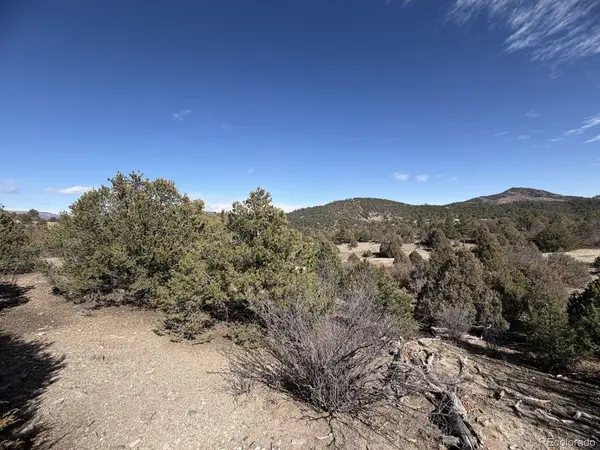 91 King, Cotopaxi, CO 81223