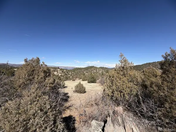 91 King, Cotopaxi, CO 81223