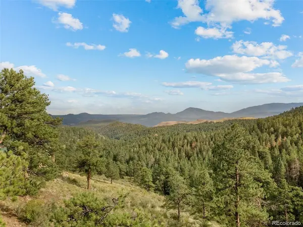13817 Gordon, Pine, CO 80470