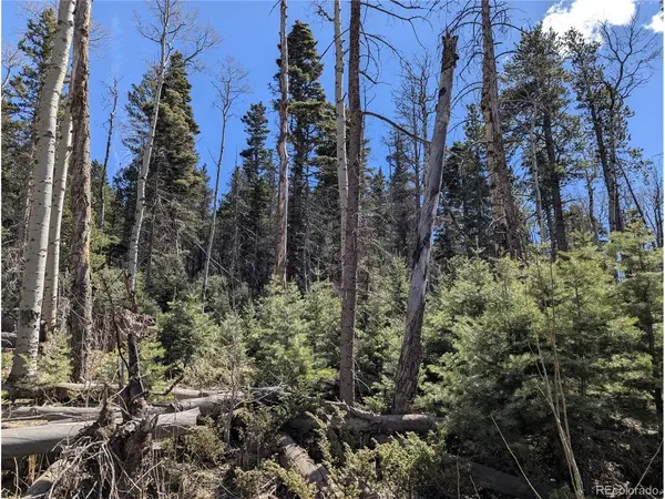 2452 Petito, Fort Garland, CO 81133