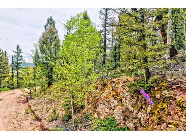 28 Old Squaw, Jefferson, CO 80456