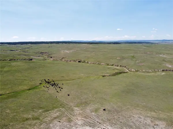 8 County Road 77, Calhan, CO 80808
