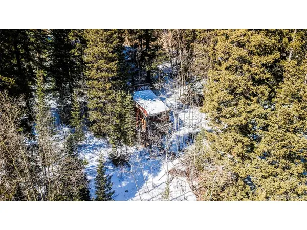 944 Roberts, Alma, CO 80420