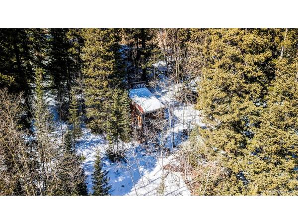 944 Roberts, Alma, CO 80420