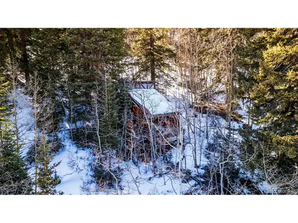 944 Roberts, Alma, CO 80420