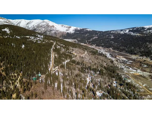 944 Roberts, Alma, CO 80420
