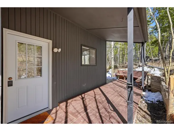 10477 Horizon View, Morrison, CO 80465