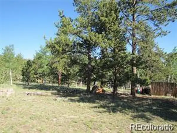 257 Bolster, Hartsel, CO 80449