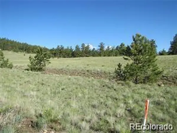 257 Bolster, Hartsel, CO 80449