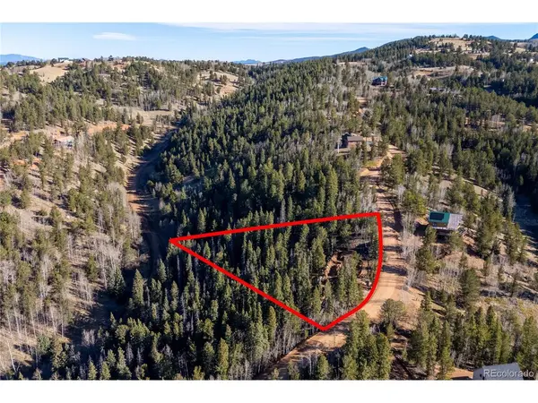 565 Fairview, Woodland Park, CO 80863