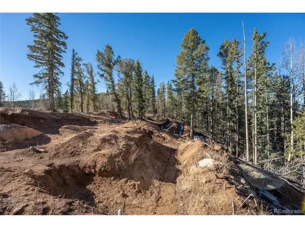 565 Fairview, Woodland Park, CO 80863