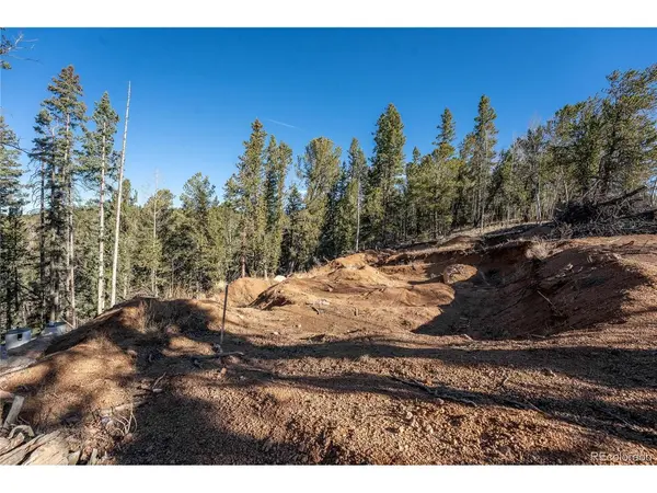 565 Fairview, Woodland Park, CO 80863