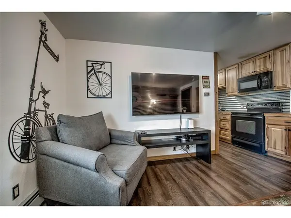 214 S Harris #106, Breckenridge, CO 80424