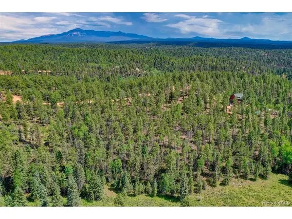 449 Woody Creek, Florissant, CO 80816