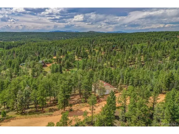 449 Woody Creek, Florissant, CO 80816