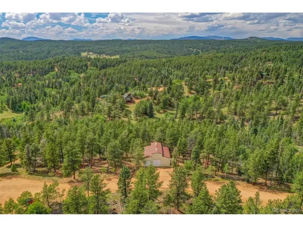 449 Woody Creek, Florissant, CO 80816