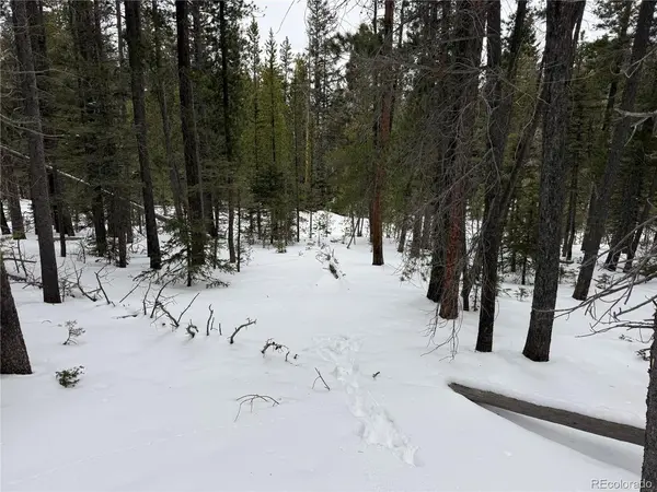 2806 Moir, Fort Garland, CO 81133