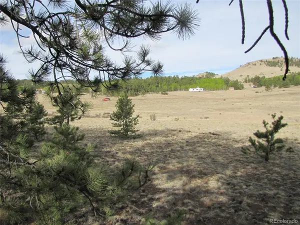 575 Falcon, Hartsel, CO 80449