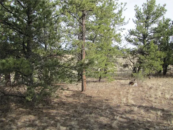 575 Falcon, Hartsel, CO 80449