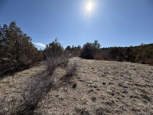 3412 Indian Wells, Cotopaxi, CO 81223