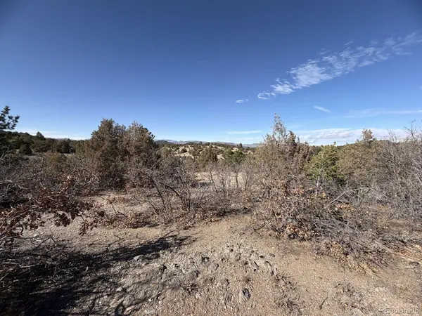 3412 Indian Wells, Cotopaxi, CO 81223