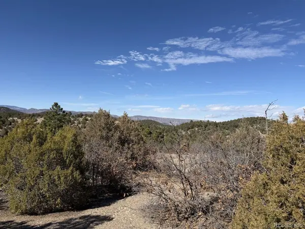 3412 Indian Wells, Cotopaxi, CO 81223