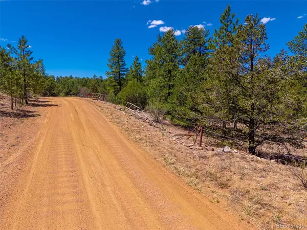 265 Alden, Cotopaxi, CO 81223