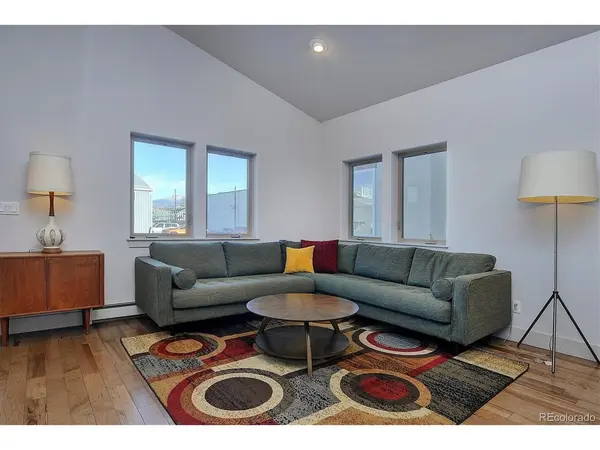 307 Chestnut, Buena Vista, CO 81211
