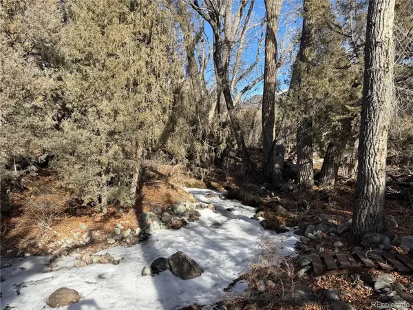 3899 Rarity, Crestone, CO 81131