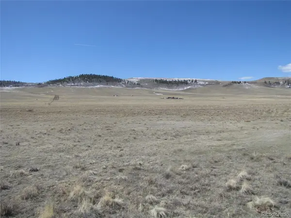 3860 Wichita, Hartsel, CO 80449