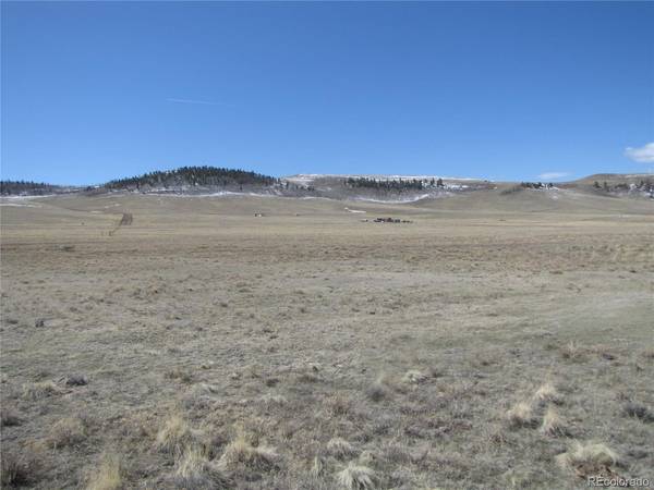 3860 Wichita, Hartsel, CO 80449