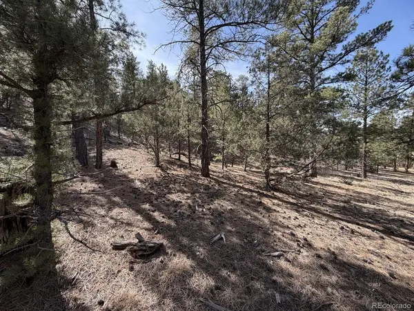 262 Harmon, Cotopaxi, CO 81223