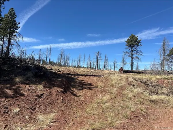 542 Forbes Park, Fort Garland, CO 81133
