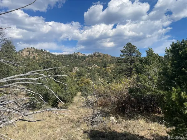 1810 Bird Point, Cotopaxi, CO 81223
