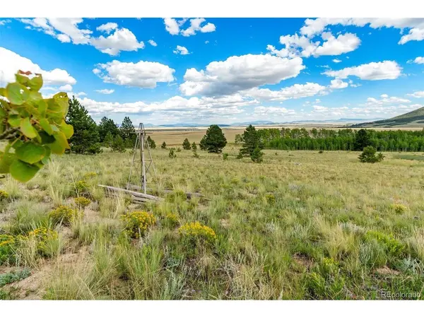 1327 Sheep Ridge, Fairplay, CO 80440