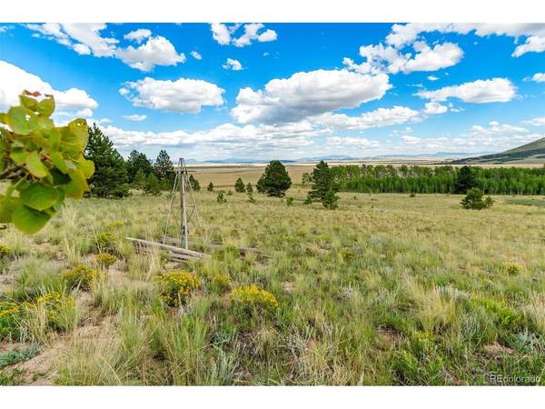 1327 Sheep Ridge, Fairplay, CO 80440