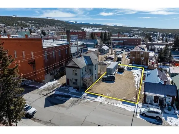 113 W 7th, Leadville, CO 80461